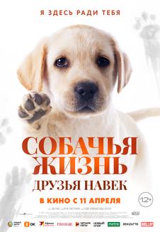 фильм -Собачья Жизнь: Друзья навек