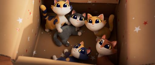 gallery-img-10