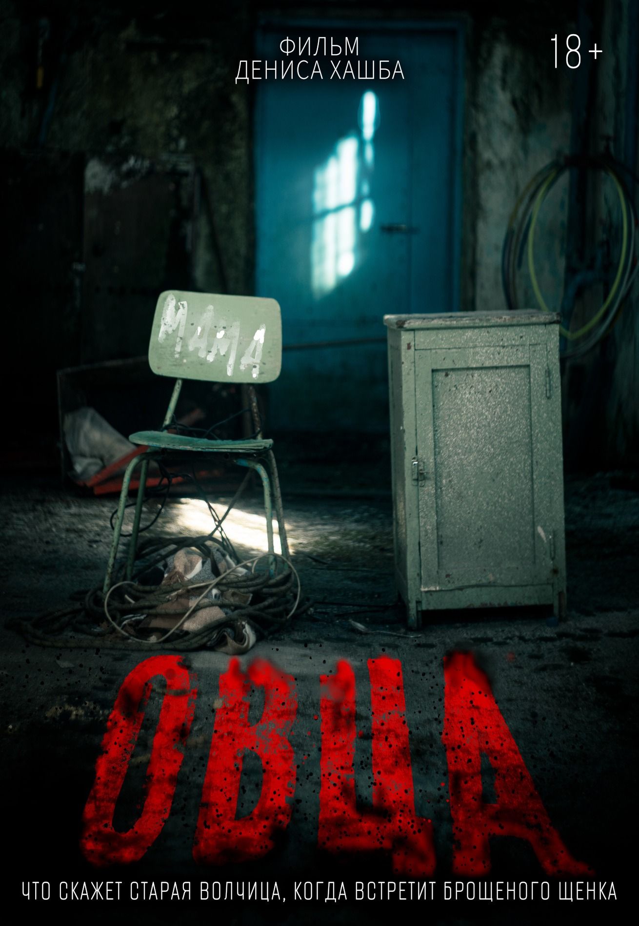 Овца