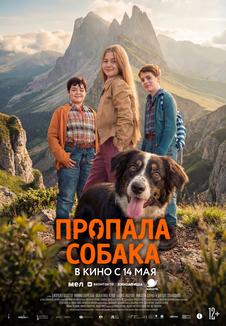 фильм -Пропала собака