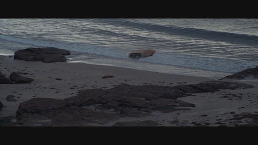gallery-img-14