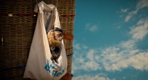 gallery-img-12