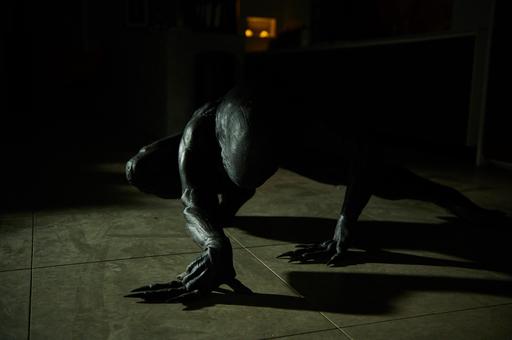 gallery-img-2