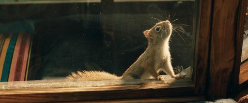 gallery-img-19