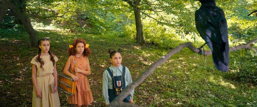 gallery-img-8