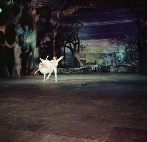 gallery-img-12