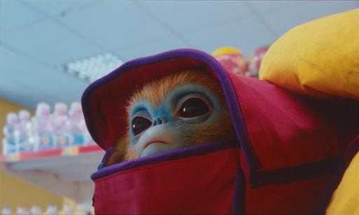 gallery-img-10